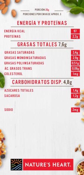 chocolate-castanas-caju-60g